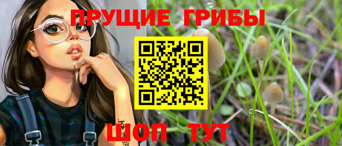 Галлюциногенные грибы мицелий Узловая